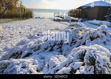 Snow covered evergreen branches shining in bright winter sunlight outdoors Stock Photo