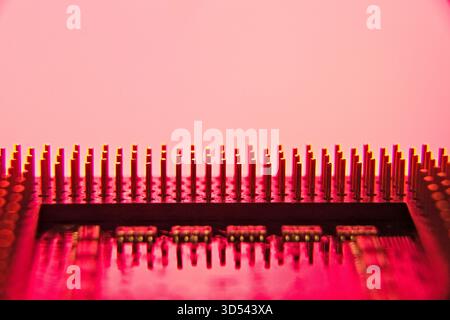 Abstract closeup view of microprocessor pins.  Closeup view of computer CPU pins with pink background. Stock Photo