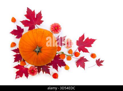 Autumn still life with yellow pumpkin, red maple leaves, red dahlias, apple and orange physalis fruits on white background with copy space. Stock Photo