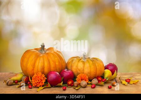 Pumpkins, yellow pears, apples and autumnal colorful maple leaves on wooden table in autumnal sun light Stock Photo