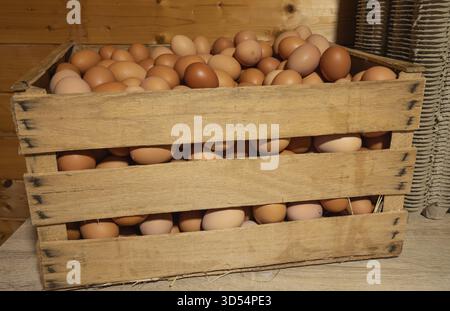 Natural fresh eggs in wooden boxes prepared by the farm for regional sale Stock Photo