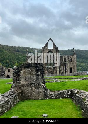 Tintern Abbey, Wales Stock Photo - Alamy