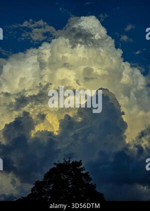 “Dramatic evening sky with towering golden clouds glowing against deep blue tones. Dark silhouettes of trees enhance the contrast, creating a powerful and peaceful natural scene.” Stock Photo