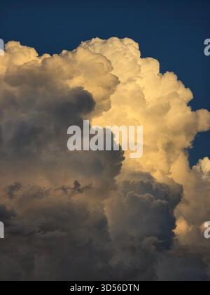 “Dramatic evening sky with towering golden clouds glowing against deep blue tones. Dark silhouettes of trees enhance the contrast, creating a powerful and peaceful natural scene.” Stock Photo
