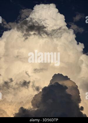 “Dramatic evening sky with towering golden clouds glowing against deep blue tones. Dark silhouettes of trees enhance the contrast, creating a powerful and peaceful natural scene.” Stock Photo