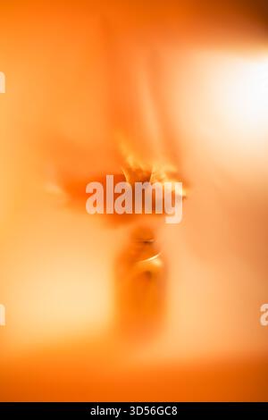 Soft-focused maple leaf glowing in warm orange light, creating a dreamy, ethereal autumn backdrop with diffused bokeh and serene, painterly fall mood Stock Photo