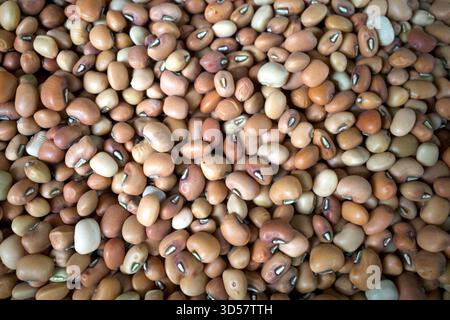 A pile of black eyed peas or cowpeas, Vigna unguiculata. Stock Photo