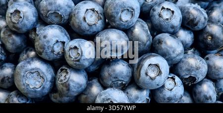 Blueberries close-up, background of blueberries Stock Photo