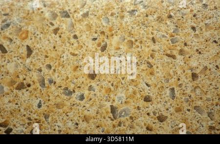 A close-up view of a brown marble mosaic with multicolored fine-grained inclusions. Close up. Stock Photo