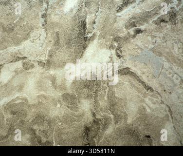 Light gray onyx, polished natural stone surface with a smoky pattern, close-up. Background, texture, seamless. Stock Photo