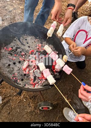 group roasting marshmallows over glowing charcoal, hands of adults and children holding skewers toward ember Stock Photo