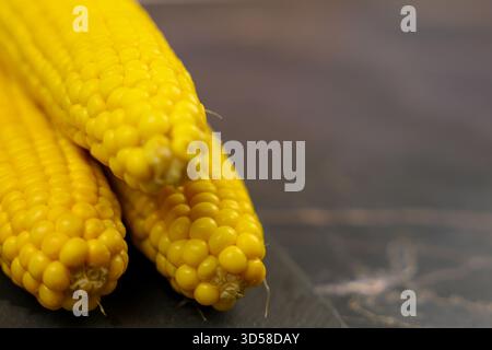 Three yellow ears of corn lie on a dark background with space for text. The concept of healthy Stock Photo
