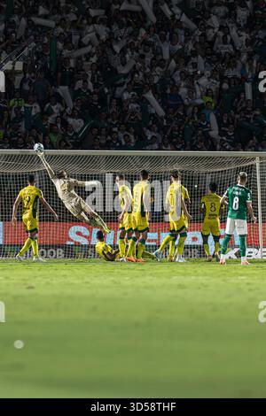 Mirassol goalkeeper Walter makes a spectacular save during a free-kick in the Brazilian Serie A match against Palmeiras at Estádio Municipal José Mari Stock Photo