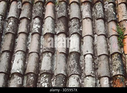 traditional Italian style roof tiles Stock Photo