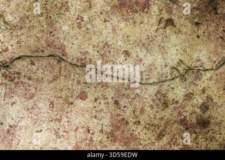 A crack on an old ceramic tile with traces of lichen and moss, in a farmhouse in the eastern Andean mountains of central Colombia. Stock Photo