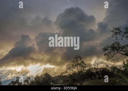 Dense thunderstorm clouds forming in the horizon at sunset over the forest, in the eastern Andean mountains of central Colombia Stock Photo