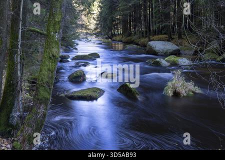 A fast-flowing river flows through dense, wooded landscape with mossy rocks, Hunterwasserweg Kamptal between Zwettl and Roiten Waldviertel Lower Austr Stock Photo