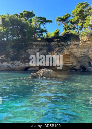 Landscape of the sea surrounded by cliffs covered in greenery under a ...