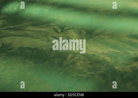 Floral pattern on iridescent green cotton fabric Stock Photo