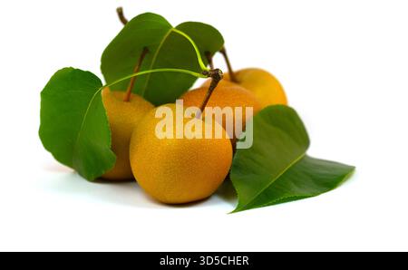 Nashi pears, Pyrus pyrifolia, isolated on a white background Stock Photo