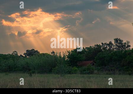 Dramatic Sunset Rays Breaking Through Clouds Over Forest Landscape Stock Photo