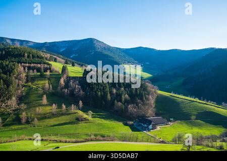 Germany, Beautiful black forest schwarzwald nature landscape panorama, green trees and mountains tourism destination for hiking in winter with a littl Stock Photo