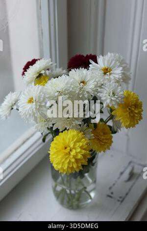 Bouquet of chrysanthemums in white, yellow, and burgundy colors arranged in a simple glass jar and placed on a windowsill. Stock Photo