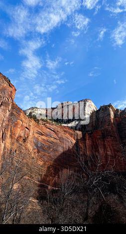 Vivid red cliffs rise under a clear blue sky, with leafless trees framing a dramatic Utah canyon. Zion National Park Stock Photo