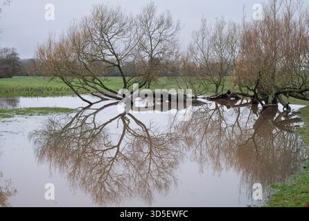 The river Arrow in flood after torrential November rainfall, Studley, Warwickshire with the water breaking over the river banks. Stock Photo
