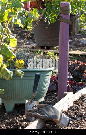 A wildlife trail camera mounted on a painted wooden post in an allotment garden in the UK, with gardening gloves, a hand trowel, and potted plants Stock Photo