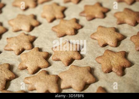 Freshly baked star-shaped gingerbread cookies on parchment paper Stock Photo
