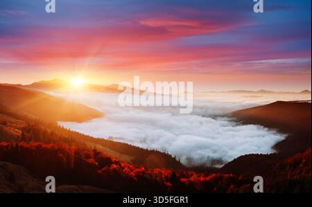 Incredible morning moment in alpine foggy valley. Location Carpathian mountain, Ukraine, Europe. Drone photography. Scenic image of wilderness. Attrac Stock Photo