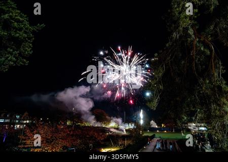 Colorful fireworks display lighting up the night sky above a park with people watching from a distance Stock Photo