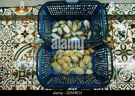 Two blue baskets are filled with assorted seashells, resting on beautifully patterned tiles, showcasing natural textures and colors. Stock Photo