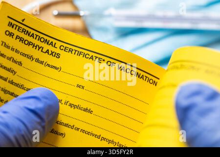 The doctor is reviewing the yellow vaccination booklet. The concept of health while traveling. Protective vaccinations, tropical diseases. Close up. V Stock Photo