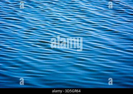 Closeup of gentle ripples and waves on the surface of a calm lake or ocean. Deep blue water texture Stock Photo