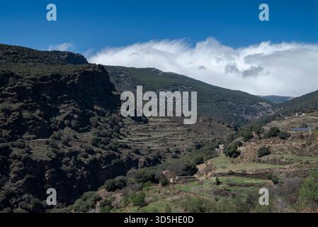 The Palancon ravine in Bayarcal, Almería, Spain, features rugged cliffs, terraced slopes, and lush greenery under a bright blue sky with drifting clou Stock Photo