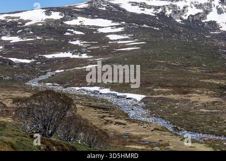 Snowy River, Kosciuszko National Park, New South Wales Australia Stock Photo