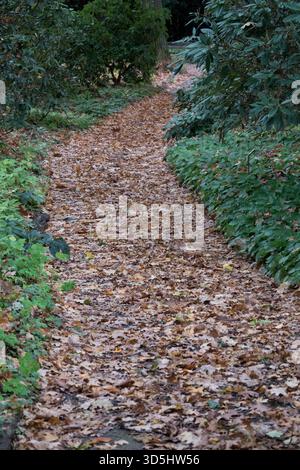 Walking Path Through Autumn Park Stock Photo