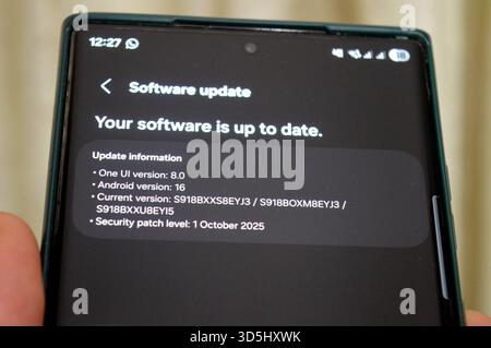 Cairo, Egypt, November 10 2025: Your software is up to date screen, on a Samsung Galaxy S series ultra flagship phone, with One UI version 8.0, Androi Stock Photo