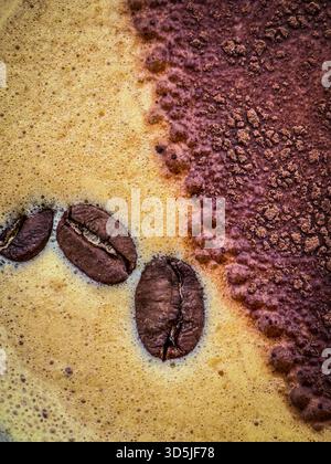 Roasted coffee beans floating on creamy foam next to a section of rich cocoa powder Stock Photo