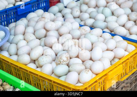 Fresh chicken and duck eggs displayed in plastic basket at traditional Vietnamese market. Local food market on Phu Quoc island, Vietnam. Organic Stock Photo