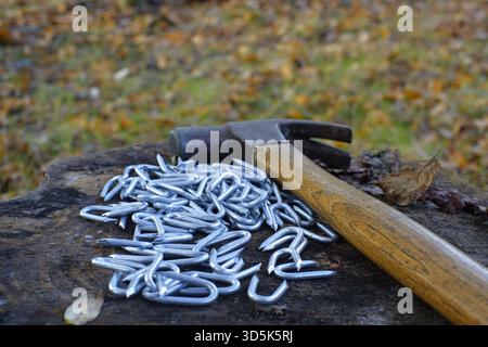 Fencing staples with a hammer. Stock Photo