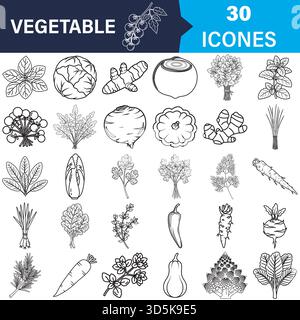 Outline icons of fresh vegetables herbs healthy food collection Vector Stock Vector