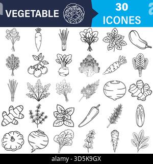 Outline icons of fresh vegetables herbs healthy food collection Vector Stock Vector