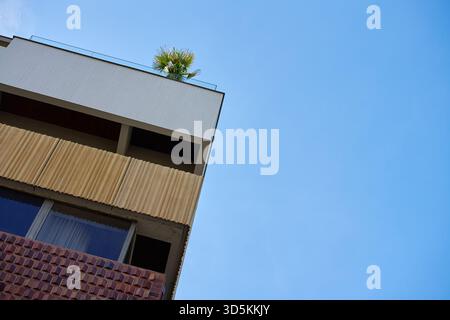 Low-angle view of modern building corner with textured facade panels and small palm plant on rooftop terrace under clear blue sky. Concept of urban ar Stock Photo