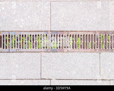 Urban sidewalk scene featuring a metal drainage grate with tiny green plants growing through the slots, creating a contrast between man-made infrastru Stock Photo