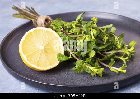 Bunch of sprigs of fresh mint and lemon lies on black ceramic plate on blue background. Mint is used in cooking and alternative folk medicine. Selecti Stock Photo
