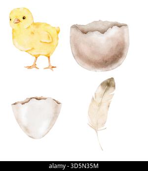 Watercolor Easter elements featuring a yellow chick, several eggshell pieces, and a light feather. Suitable for postcards, packaging, posters, labels, Stock Photo