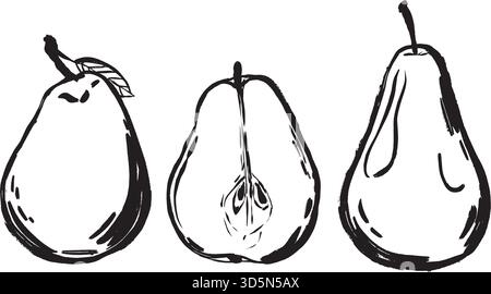 three pear sketches including halved core, delicate linework reveals interior seeds and exterior texture, minimal monochrome, set of black and white vector hand-drawn illustrations in line art style. Stock Vector
